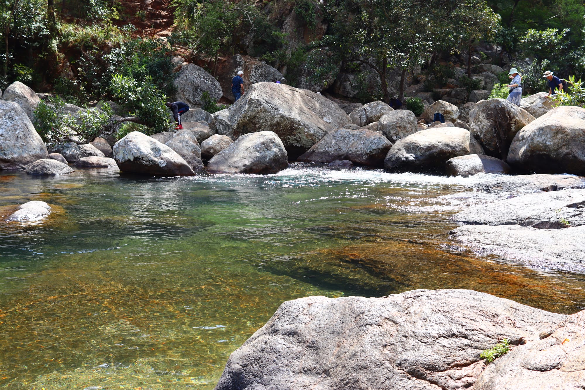 #3 Bibles, Bibles, Bibles!