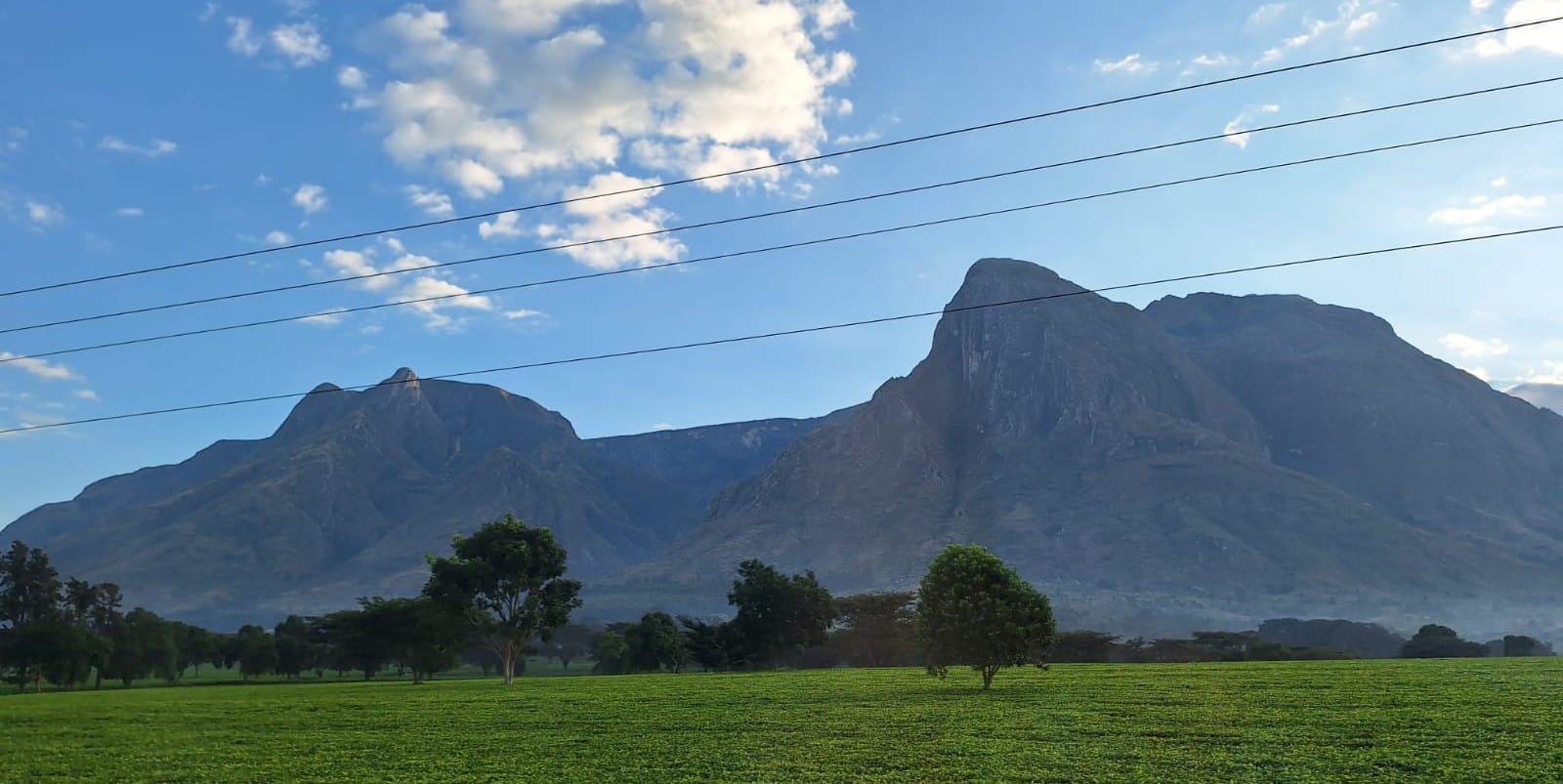 #3 Bibles, Bibles, Bibles!